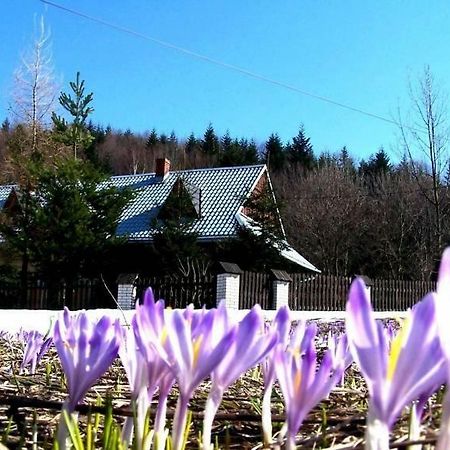 Goralska Czarcia Chata Pod Jalowcem Stryszawa Kültér fotó