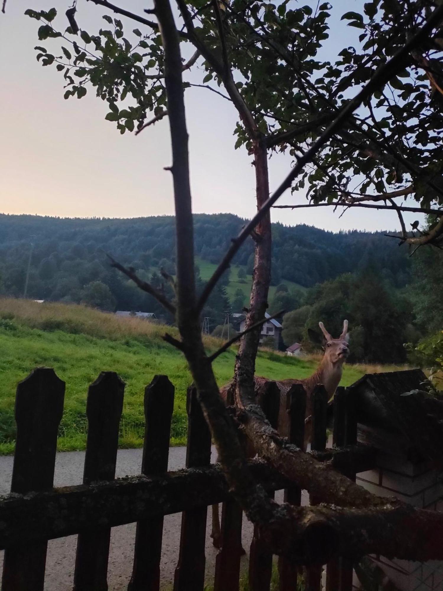 Goralska Czarcia Chata Pod Jalowcem Stryszawa Kültér fotó