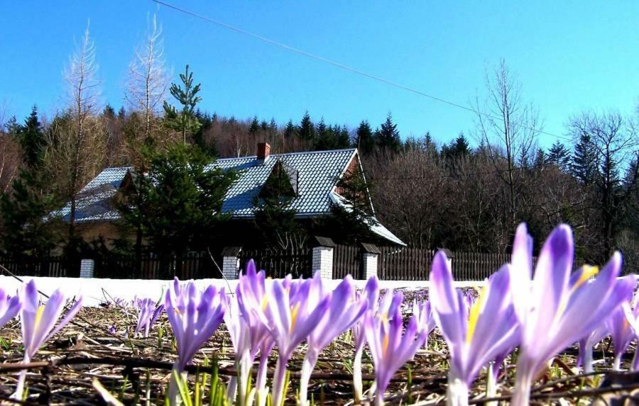 Goralska Czarcia Chata Pod Jalowcem Stryszawa Kültér fotó